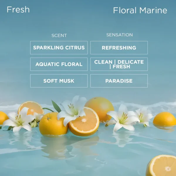 Aqua Game - Image 3